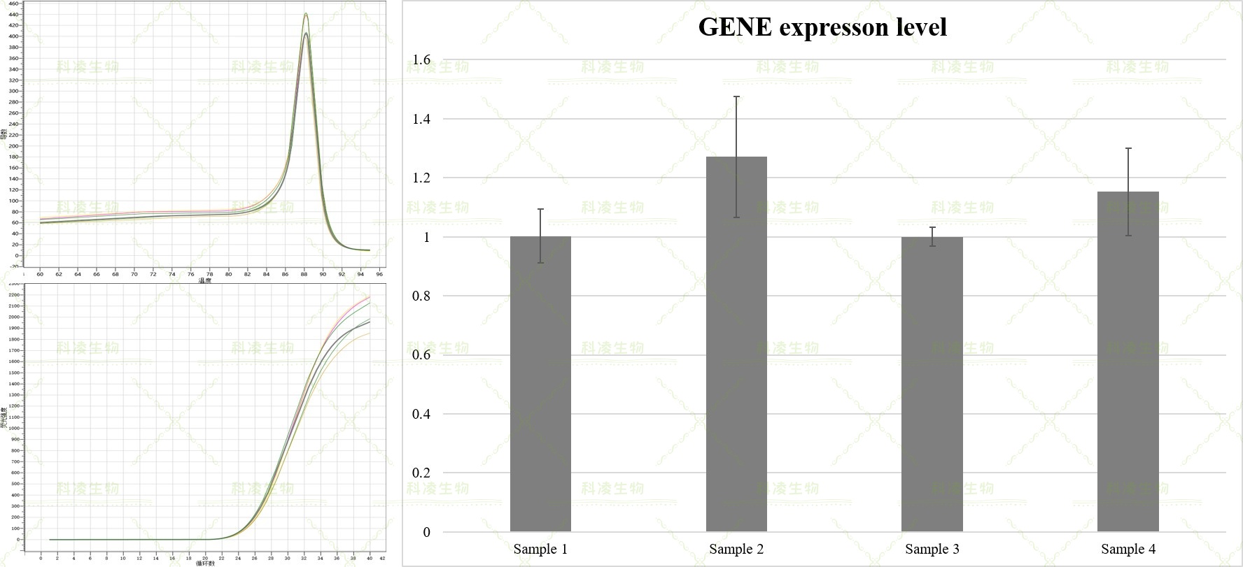 25、荧光定量.jpg 25、荧光定量.jpg